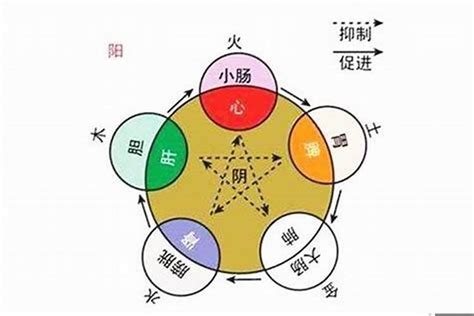 英 五行|英字的五行属性是什么